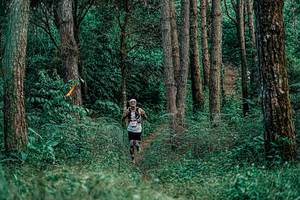 BIB: 
                            <button type="button" onclick="openModal(25236218)" class="btn btn-primary btn-sm float-right btn-popup" data-toggle="modal" data-target=".modal-high-quality">
                        <i class="fas fa-shopping-cart"></i> Add to Cart
                    </button>
                                            <button type="button" onclick="isThisMe(25236218, true)" class="btn btn-success btn-sm float-right btn-popup btn-isme hidden" data-toggle="tooltip" data-placement="bottom" title="นี่คือรูปของคุณใช่ไหม คลิกที่นี่เพื่อเอาเข้าอัลบั้ม">
                        <i class="fas fa-plus"></i> Add to album
                    </button>
                    <button type="button" onclick="isThisMe(25236218, false)" class="btn btn-warning btn-sm float-right btn-popup btn-isnotme hidden">
                        <i class="fas fa-ban"></i> Remove from album
                    </button>